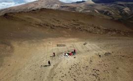 В Чили обнаружены окаменелости нового вида млекопитающих