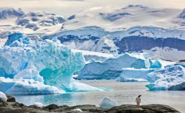 Антарктику ожидает беспрецедентная катастрофа ученые