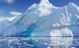 Există viață la 900 m adîncime sub gheața din Antarctica