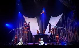 Cirque du Soleil возобновляет выступления