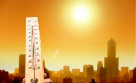 2020 год оказался рекордно жарким