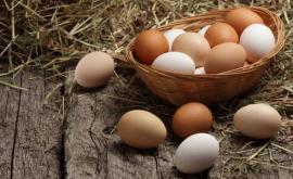 Диетолог опроверг популярный миф о яйцах