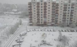 În mai multe regiuni din Ucraina a nins