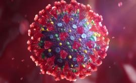 В Румынии обнаружен индийский штамм коронавируса