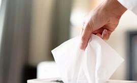 Бумажные полотенца опасны для здоровья