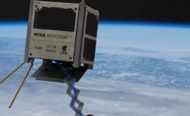 В этом году в космос будет запущен первый деревянный спутник