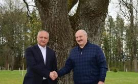 Alexandr Lukașenko a avut o întrevedere informală cu Igor Dodon