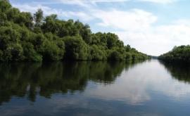 Tragedie la Nistru Un bărbat sa înecat după ce a încercat să fugă de grănicerii transnistreni