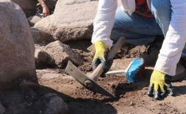 Группа археологов обнаружила древнее захоронение в Яловенском районе 