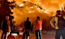 Incendiu de vegetaţie în Grecia Mai multe sate au fost evacuate