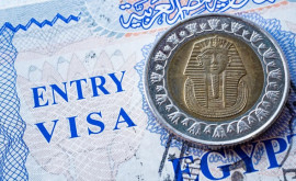 Египет начал брать плату за туристические визы