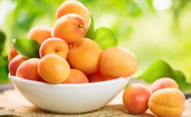 Три полезных свойства абрикосов