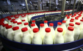 Хорошие новости для фермеров производителей молочных продуктов