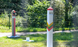 Литва намерена укрепить границу с Беларусью