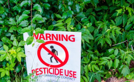 Швейцария может стать первой европейской страной которая запретит синтетические пестициды