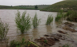Дожди повредили сельхозкультуры в нескольких населенных пунктах страны