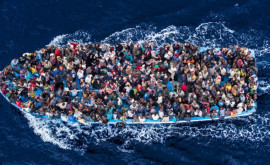 У берегов Йемена после крушения судна обнаружили более 150 тел мигрантов