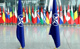 Украина и Грузия в будущем смогут вступить в НАТО резолюция очередного саммита альянса