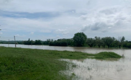 Внимание Уровень воды в реке Прут резко поднимается
