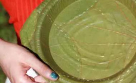 Самая здоровая посуда из обычных листьев ФОТО