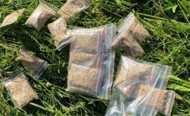 Вызванные на аварию полицейские обнаружили 23 пакетика с наркотиками