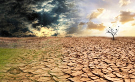 10 ключевых выводов из проекта доклада ООН по климатологии