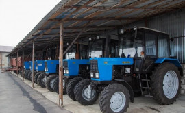 Беларусь откроет тракторосборочный цех в Гагаузии