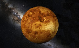 Опровергнуто существование жизни на Венере