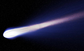 Doi astronomi ar fi descoperit cea mai mare cometă observată vreodată