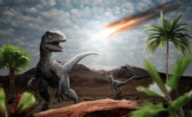 Dinozaurii ar fi fost pe cale de dispariție cu milioane de ani înainte de căderea meteoritului