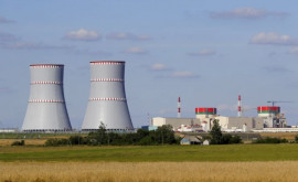 Украина поддержала Литву и отказалась закупать электроэнергию Белорусской АЭС