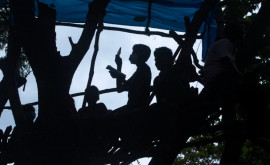 Ca să aibă acces la școala online copiii din Sri Lanka urcă la 9 metri în copaci după ce traversează păduri cu leoparzi
