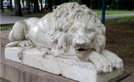 Misterul leilor de la Chişinău
