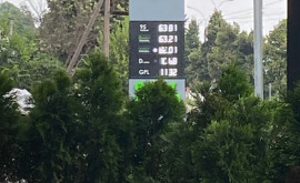В Новых Аненах литр бензина стоит 60 леев