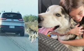 Брошенная у дороги и растрогавшая тысячи людей собака нашла новый дом за сутки