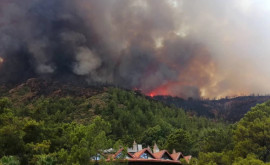 În Marmaris turiștii sînt evacuați din hoteluri din cauza incendiilor de pădure
