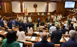 Сформированы 11 парламентских комитетов