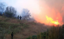 Масштабные лесные пожары в Греции
