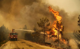 Bilanţul victimelor provocate de incendii pe coasta sudică a ţării a crescut la opt