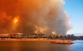Incendiile de pădure continuă bîntuie în Turcia