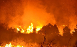După Turcia și Grecia incendiile de pădure amenință și Bulgaria