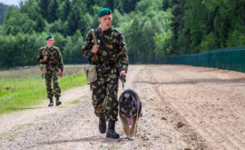 Беларусь разместила на границе с Литвой дополнительные войска