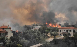 Grecia sub flăcări Aerul a devenit aproape irespirabil la Atena
