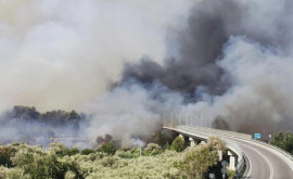 În Italia sute de persoane sînt evacuate din cauza incendiilor de pădure