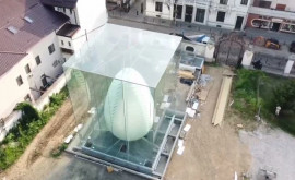 В городе Крайова появится огромное стеклянное яйцо