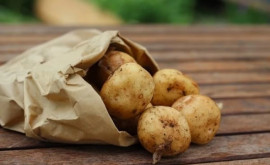 Картофель исключительный источник витаминов и минералов