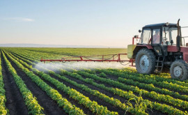Депутаты БКС зарегистрировали законопроект об удвоении помощи аграриям