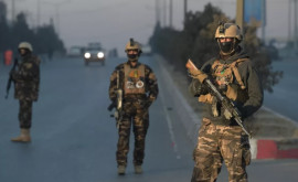 Сотни афганских силовиков сдались талибам