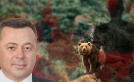 Un milionar din Rusia a recunoscut că a ucis un bărbat pe care la confundat cu un urs