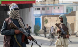 Талибы пообещали превратить Афганистан в страну без наркотиков